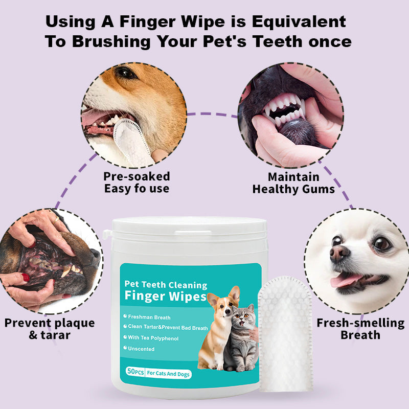 🔥Lingettes dentaires pour animaux de compagnie🔥