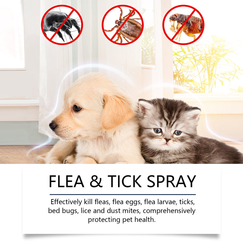 🐶🐱 Vaporisateur antipuces et antitiques naturel pour chiens et chats