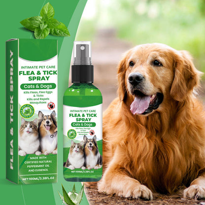 🐶🐱 Vaporisateur antipuces et antitiques naturel pour chiens et chats