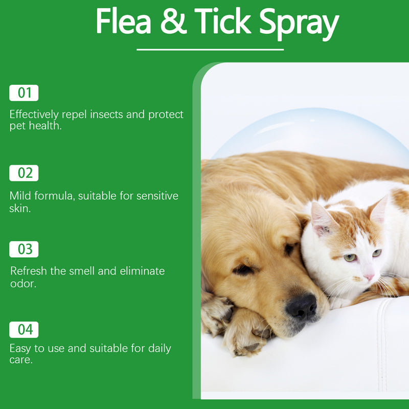 🐶🐱 Vaporisateur antipuces et antitiques naturel pour chiens et chats