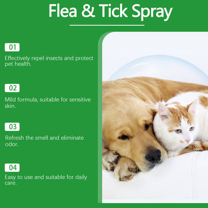 🐶🐱 Vaporisateur antipuces et antitiques naturel pour chiens et chats